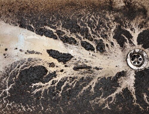 Why does sewage back up into my tub when I flush the toilet?