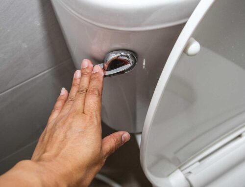 Toilet Wont Flush? How to Fix a Weak Toilet Flush and Stop Double Flushing