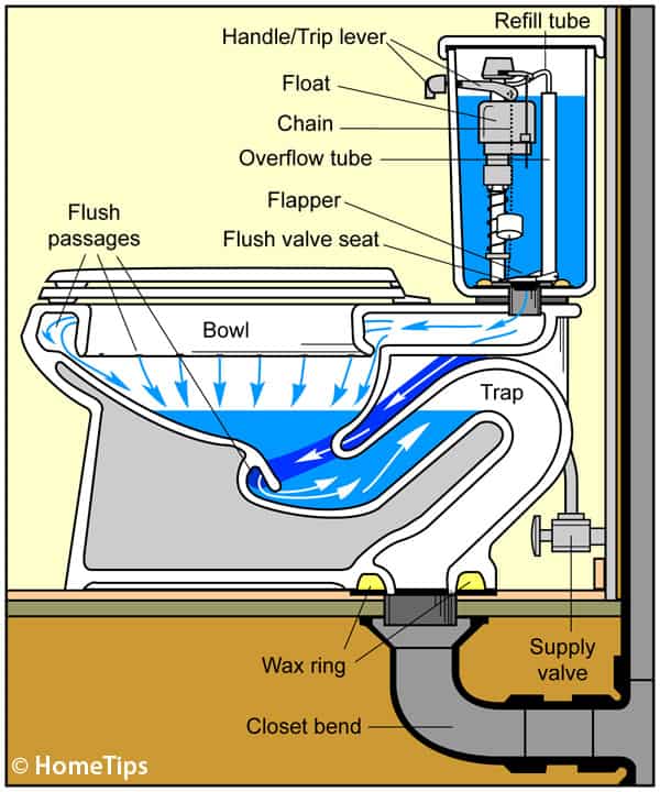 Toilet Cutaway Diagram