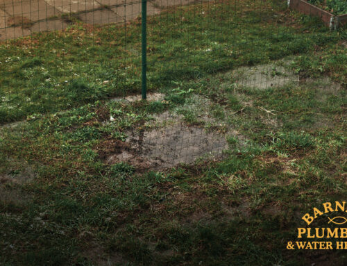 Is it Time to Replace Sewer Lines? Watch for These 4 Red Flags