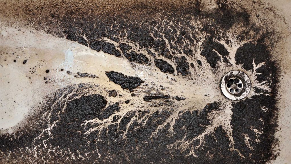 sewage back up