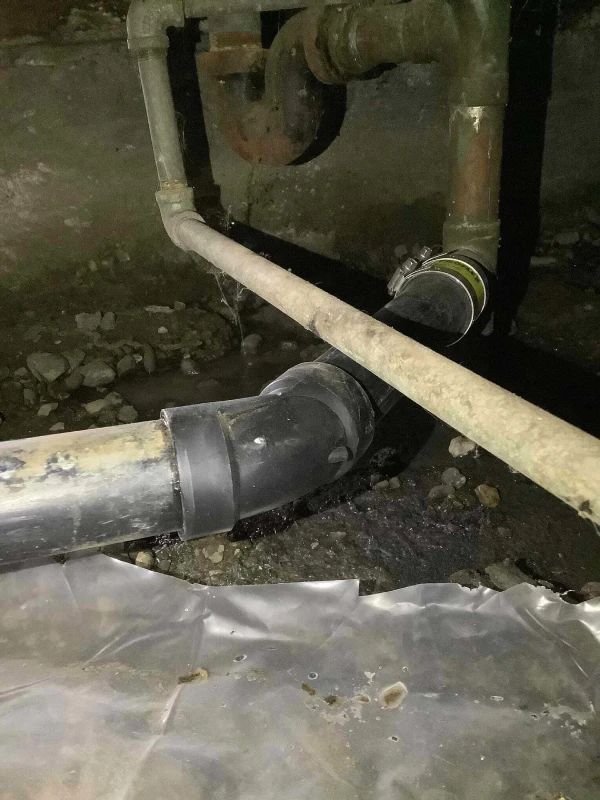 drain cleaning