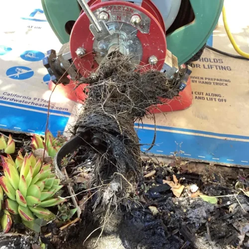 Sewer repair in progress with equipment removing roots, showcasing essential sewer services in action amidst garden plants.